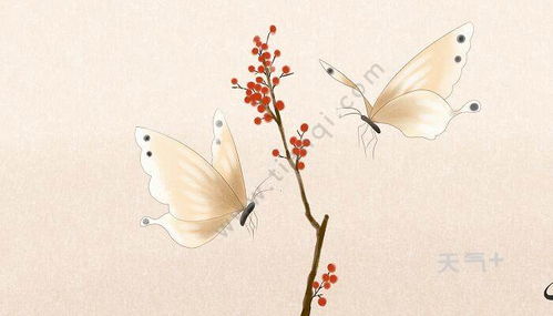 懷念春天的詩句古詩