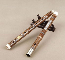 古詩(shī)中提到竹笛笛子的詩(shī)句