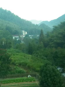 關(guān)于.初陽的詩(shī)句