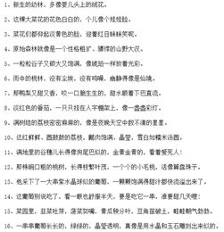 有關(guān)于描寫植物的詩句有哪些