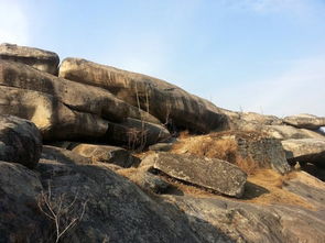 關(guān)于懷遠(yuǎn)荊山的詩句