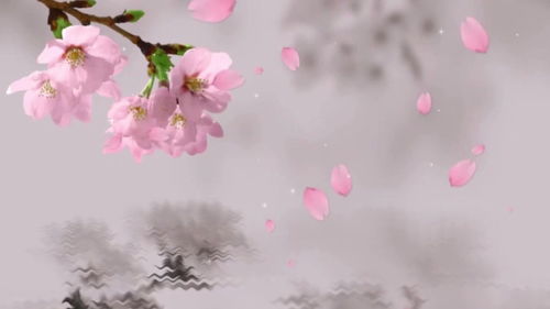 關(guān)于月夜江的詞或詩句