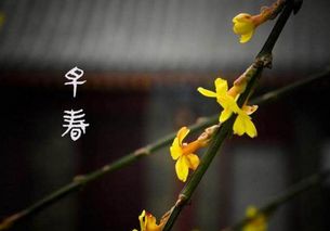 古詩(shī),詩(shī)句,復(fù)蘇,萬(wàn)物