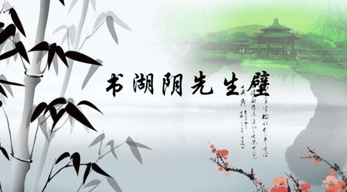 關(guān)于書湖陰先生壁的詩(shī)句