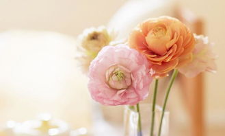 表達被家人孤立的古詩句