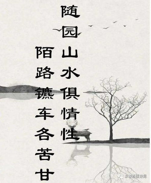 關于撿的詩句