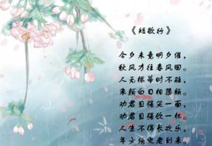 關(guān)于慢慢變老的詩(shī)句