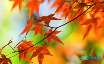 有關(guān)紅葉的詩句古詩