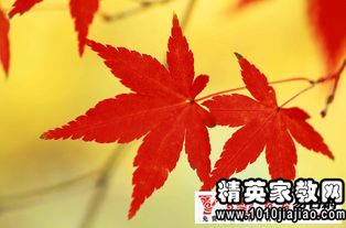 秋天古詩(shī)句唯美句子