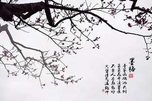 詩(shī)句,古代,墨梅