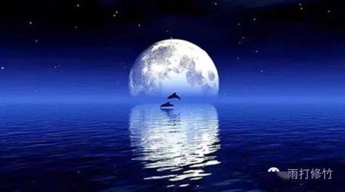 關(guān)于月亮的詩(shī)句10句加作者