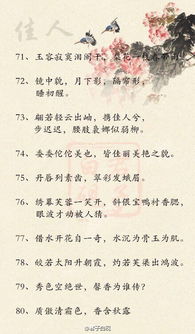 中考關(guān)于邊塞的古詩(shī)句5句