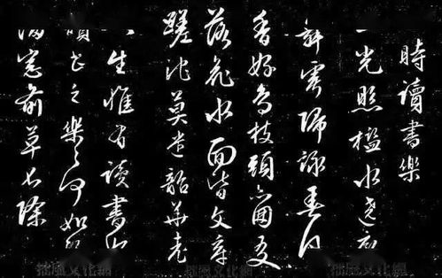 苦樂,詩句,讀書