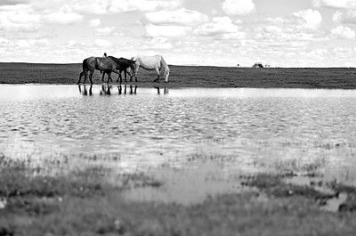 關(guān)于西部景色的詩(shī)句