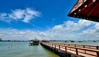 關(guān)于湛江市霞山區(qū)的詩句600字