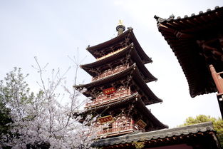 關(guān)于描寫寒山寺的詩句