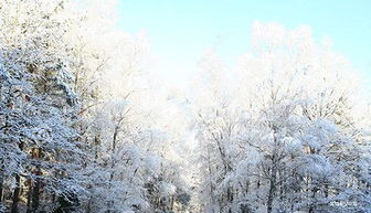 關(guān)于冬天的英語的詩句