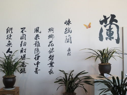 關(guān)于蘭花的詩(shī)句有哪些五言