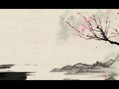 關(guān)于白的詩(shī)句古詩(shī)詞