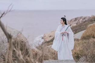 夸贊女生漂亮的古詩句