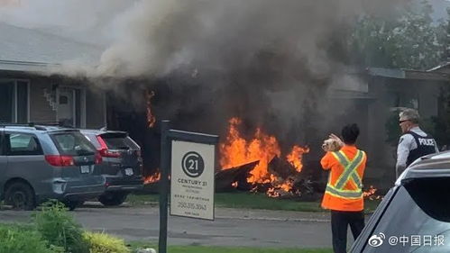 關(guān)于雪鳥的詩句