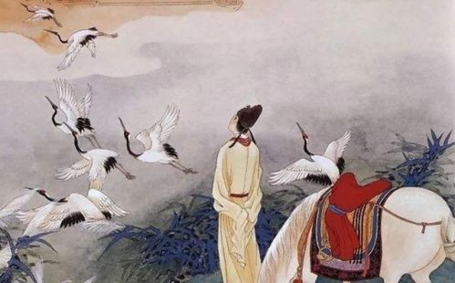 描寫鳥的詩古詩句