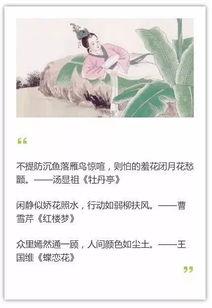 巾幗,詩句,描寫,女子