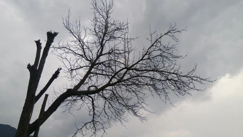 冬天暖和的詩句古詩