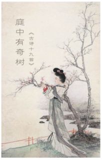 古詩詞中帶有樹的詩句