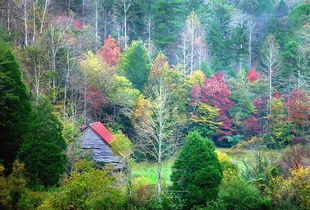 詩句,秋天,冬天,夏天