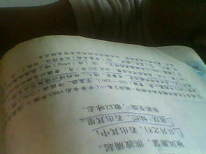 古詩句最后一個(gè)字是時(shí)