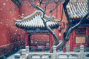 關(guān)于諷刺故宮開(kāi)車詩(shī)句