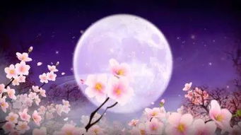 思念家鄉(xiāng)和親人詩句古詩