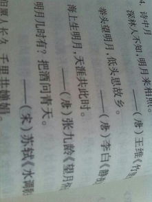 詩(shī)句,描寫,擁有,書籍