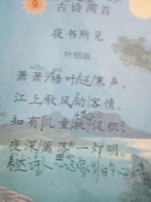 關(guān)于描寫第一的詩句