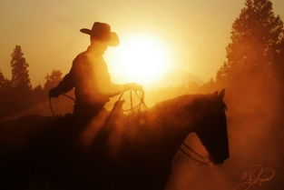 堅(jiān)定信念的古詩(shī)句