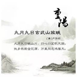 寫(xiě)重陽(yáng)節(jié)的詩(shī)句古詩(shī)小學(xué),關(guān)于重陽(yáng)的詩(shī)句古詩(shī),描寫(xiě)重陽(yáng)的詩(shī)句古詩(shī)