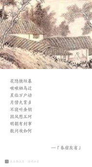 古詩江畔獨步尋花杜甫的詩句,關(guān)于杜甫的詩句古詩,杜甫洞庭湖的詩句古詩