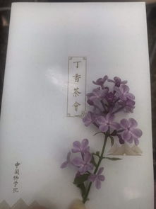 關(guān)于禪茶的古詩(shī)句