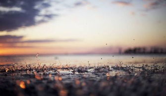 詩(shī)句,景色,唯美