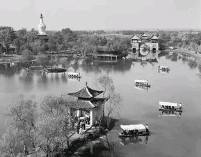 凋落,詩句,花兒