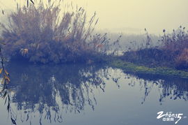 關于霧里美人的詩句