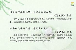 古詩(shī)中運(yùn)用比喻的詩(shī)句是