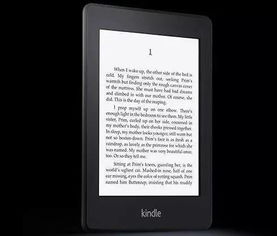 國美kindle關(guān)于洛陽的詩句