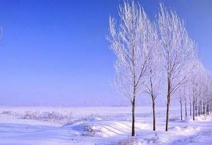 關(guān)于冬天的景色詩句古詩詞