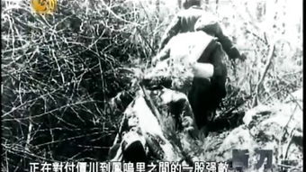 關(guān)于火焰的詩句