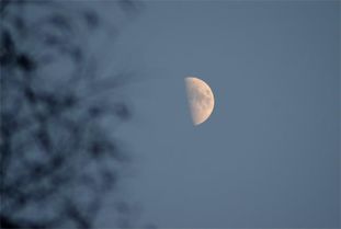 贊美日月潭的詩(shī)句是什么,贊美堅(jiān)持的詩(shī)句是什么,贊美文天祥的詩(shī)句是什么