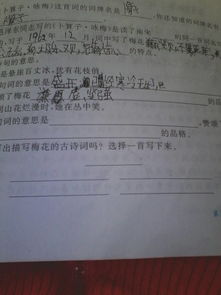 描寫泰山梅花的詩句古詩