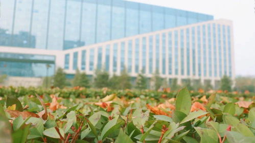 贊美暖陽的古詩句,描繪山水的古詩句,描繪夏天的古詩句有哪些