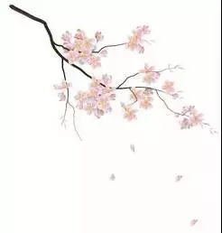 古詩(shī),詩(shī)句,詞中